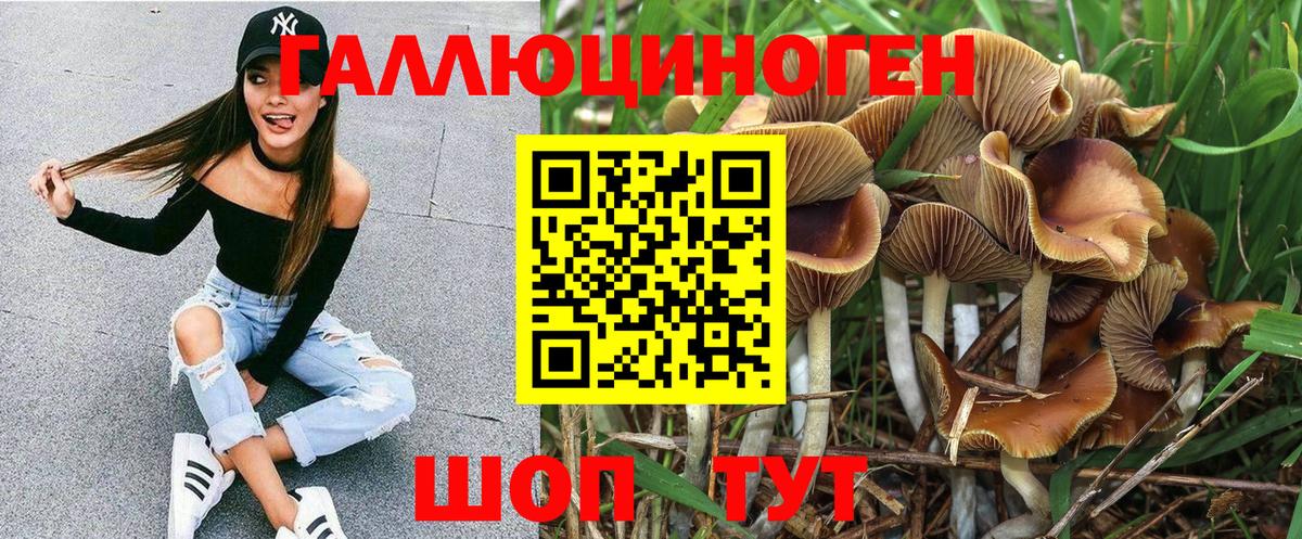 Галлюциногенные грибы GOLDEN TEACHER Белебей